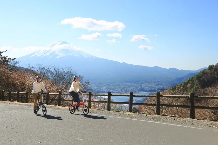 FIAT 500 AL-FDB163S-E_image2