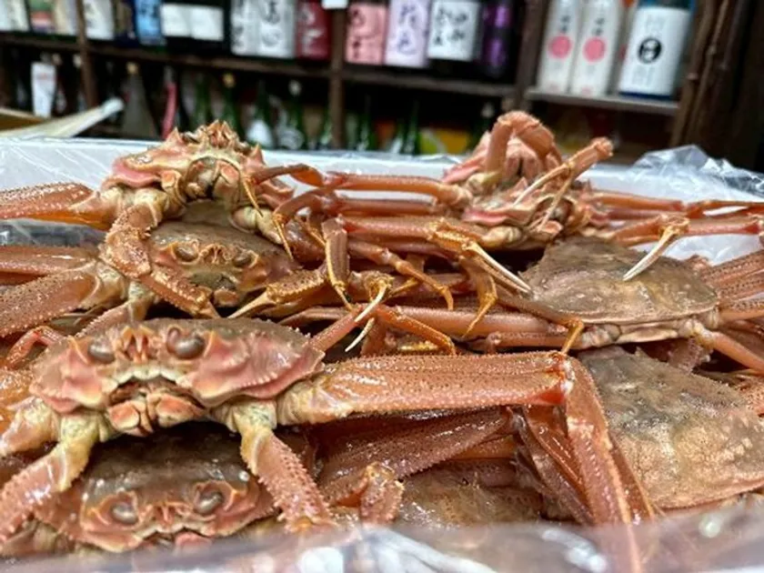 本楚蟹(ほんずわいがに)