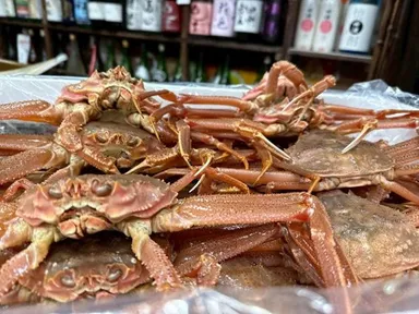 本楚蟹(ほんずわいがに)