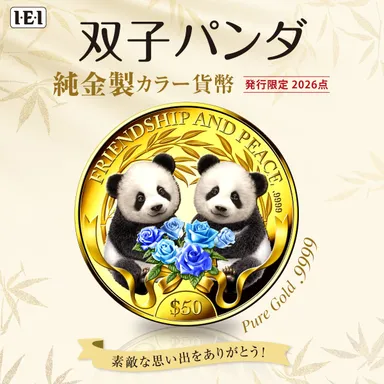 双子パンダコインスクウェア