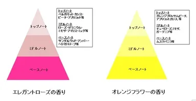 『ソフィ Kiyora フレグランス　Premium』香りの配合図