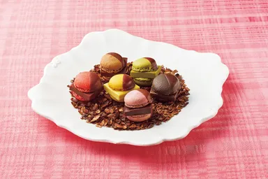 ソイルチョコレート＆ マメイルナマチョコレートマカロン