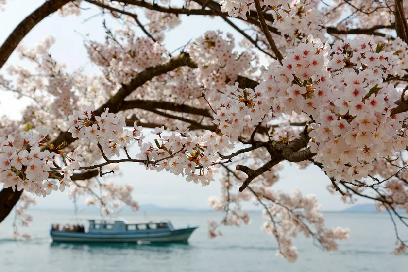 海津大崎
