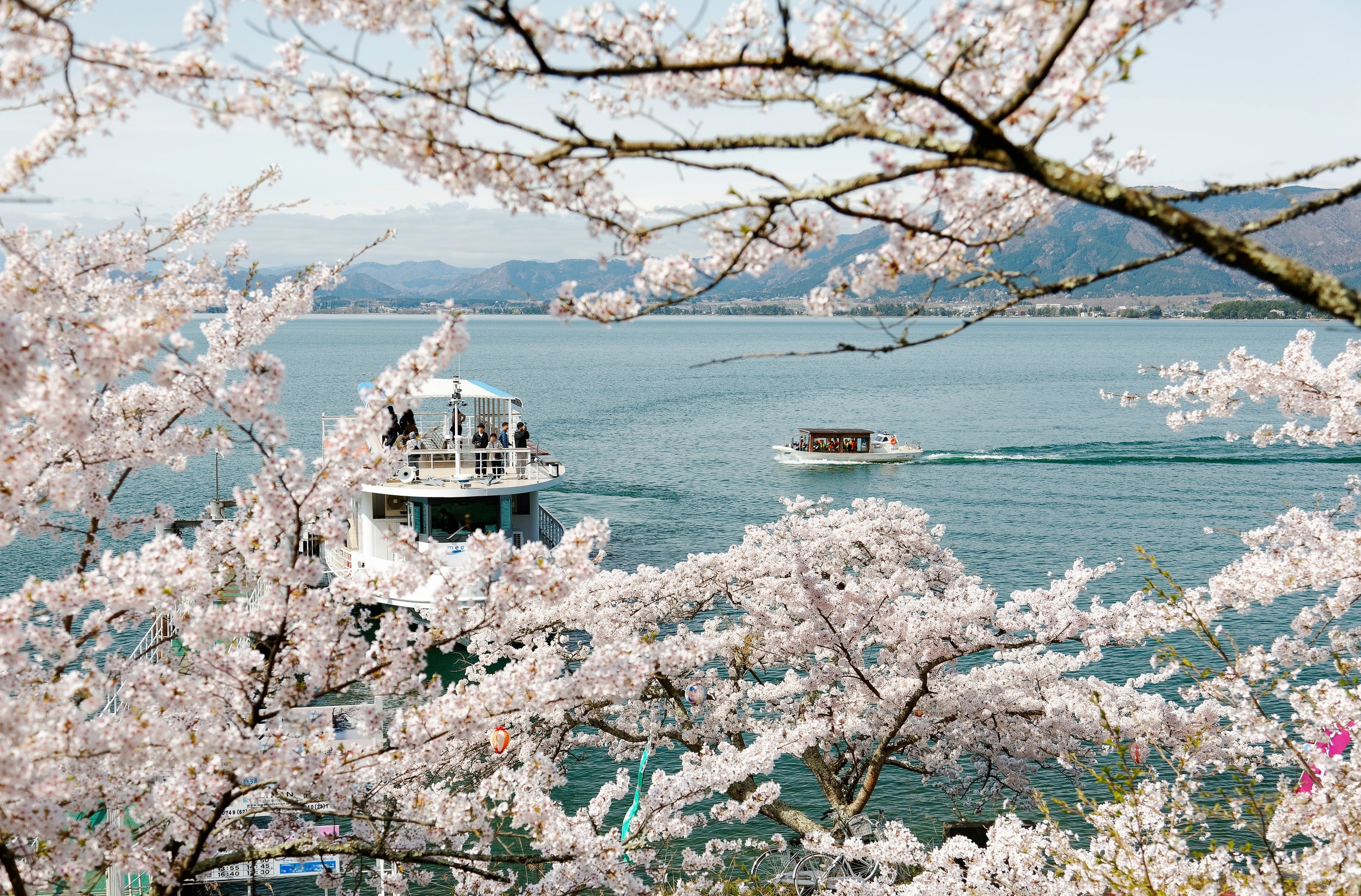 クルーズ船からの眺め