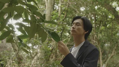 ロケ地　大隅神社(1)