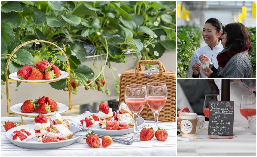 いちごBonBonBERRYのFarm to Table ~ファーム トゥ テーブル~