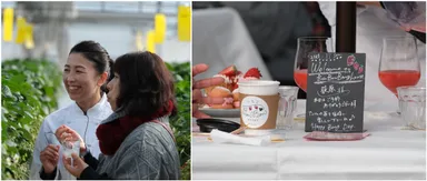 昨年の開催の様子