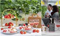 いちごBonBonBERRYのFarm to Table ～ファーム トゥ テーブル～