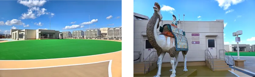 リニューアル後の屋上