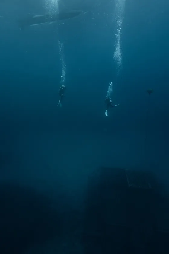 海底貯蔵に向かうダイバー