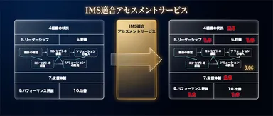IMS適合アセスメントサービス全容