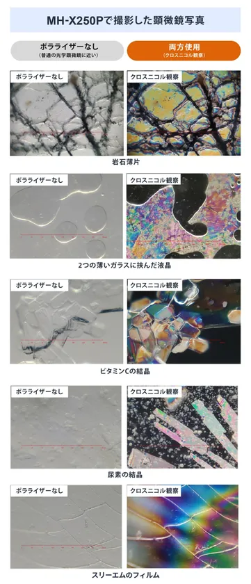 2種類の観察方法による観察例