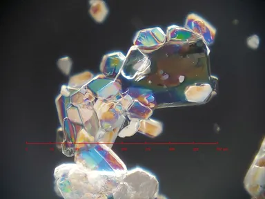 撮影例(ビタミンの結晶)