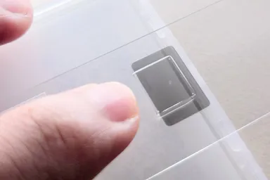 放散虫(肉眼サイズ)