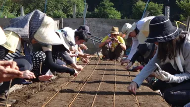 農業実践教室の様子4