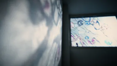 オギャートレイラー(4)