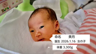 オギャートレイラー(6)