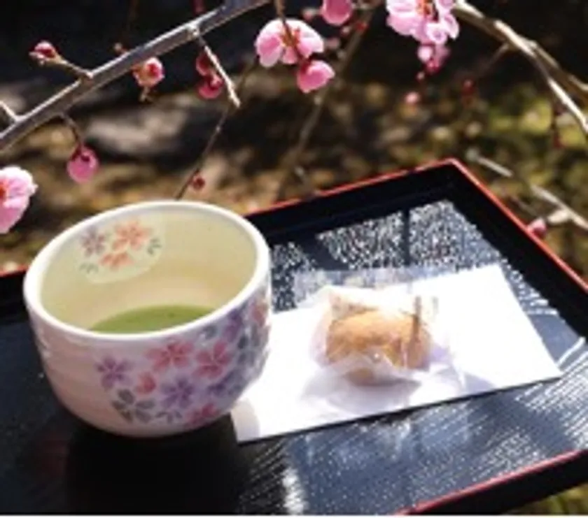 ひなまつり野点