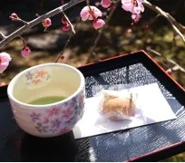 ひなまつり野点