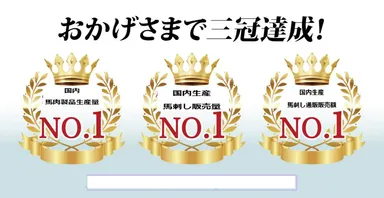 3部門で国内「3冠」を達成