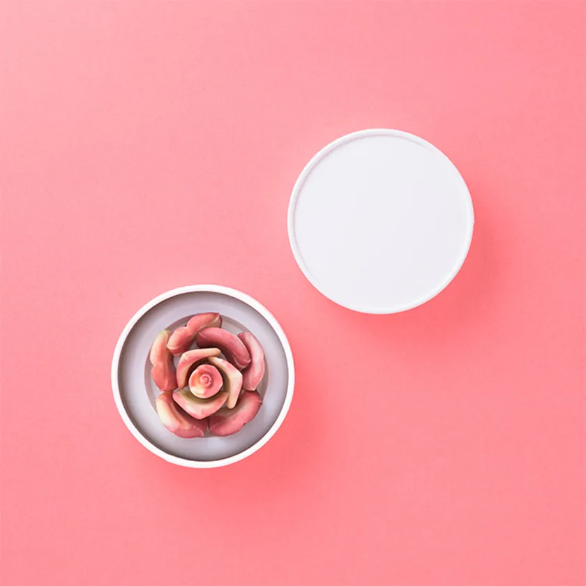 petale_2026cherie_main