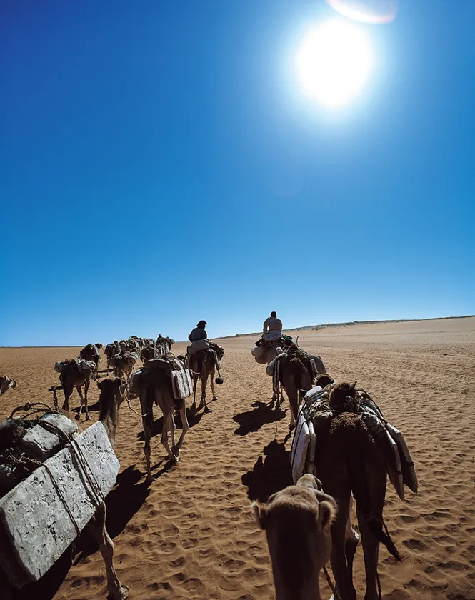 (Photo_01) タウデニ 真正面の太陽に焦がされて進むキャラバン (マリ) 2003年 撮影:片平孝