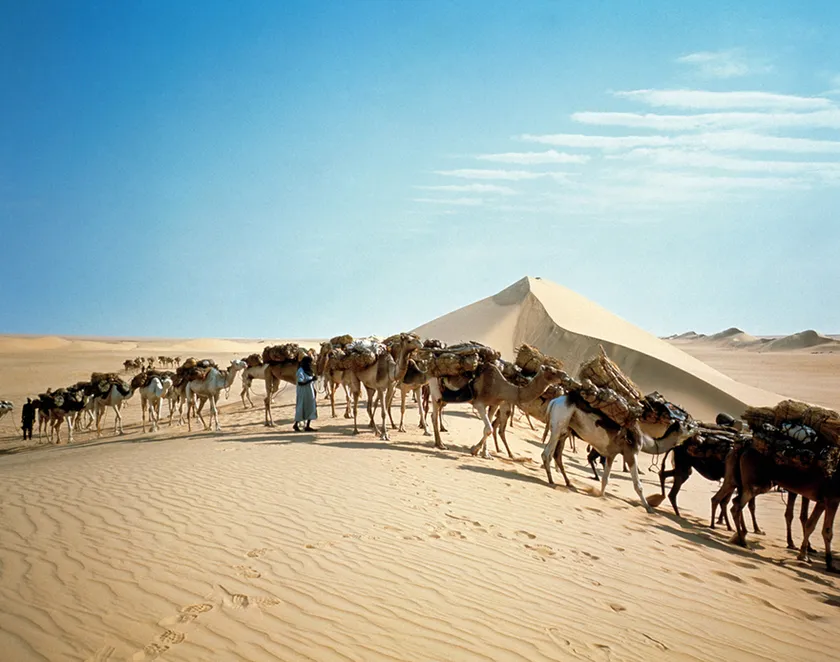 (Photo_02)　砂丘を越えるハウサ族の塩キャラバン　(ニジェール)　1972年　撮影：片平孝