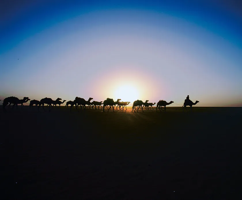 (Photo_07) タウデニ 出発したキャラバンに朝日が昇る (マリ) 2003年 撮影:片平孝