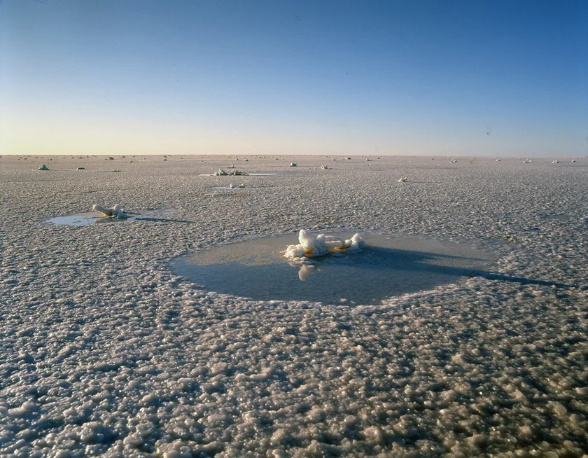 (Photo_08) エーア塩湖の湖面を覆う塩の結晶 (オーストラリア) 1991年 撮影:片平孝