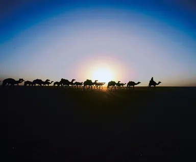 (Photo_07)　タウデニ　出発したキャラバンに朝日が昇る　(マリ)　2003年　撮影：片平孝