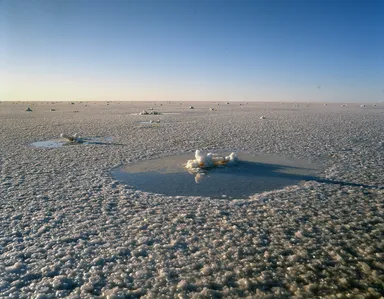 (Photo_08)　エーア塩湖の湖面を覆う塩の結晶　(オーストラリア)　1991年　撮影：片平孝