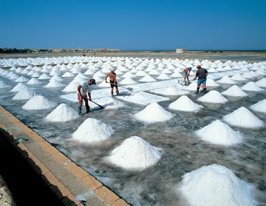 (Photo_09)　マルサーラ塩田の収穫作業　(イタリア)　2004年　撮影：片平孝