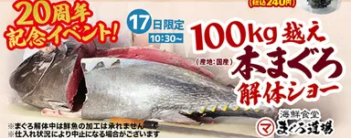 100kg越え　本まぐろの解体ショー