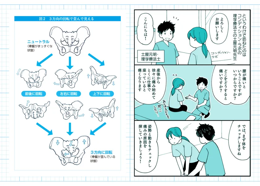 骨盤の「回転(回旋)」という動きに着目
