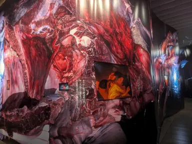 志賀理江子作品　インスタレーション風景 5(「なぬもかぬも」より)　2025年