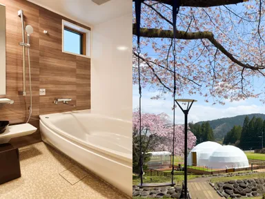 貸切風呂＆桜