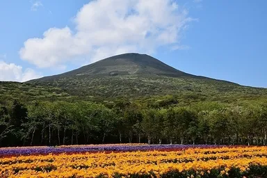 八形山フリージアまつり会場