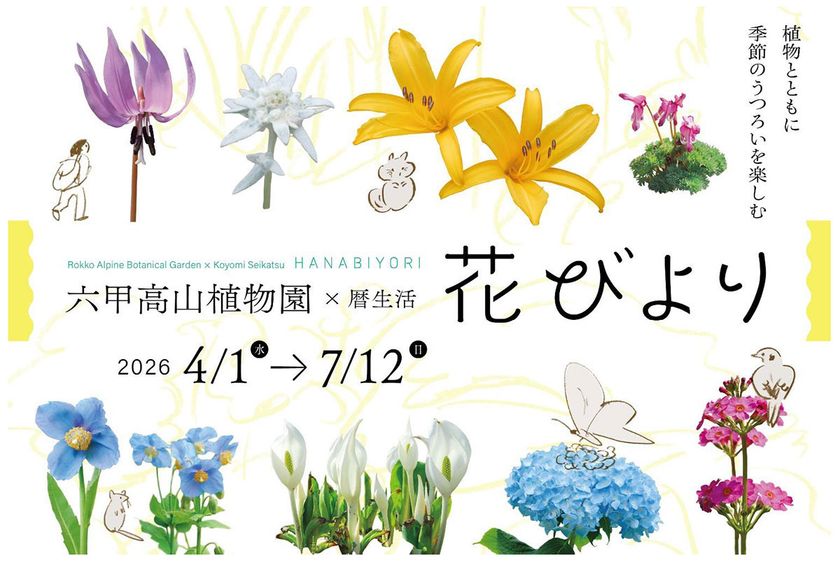 六甲高山植物園×暦生活
『花びより』開催決定
2026年4月1日(水)～7月12日(日)
