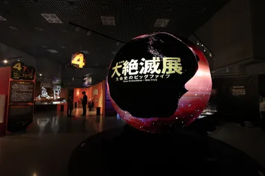 大絶滅展　展示の様子