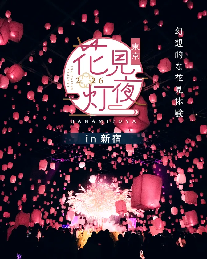 花見灯夜2026