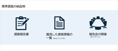 UGINT Spot 標準調査の納品物