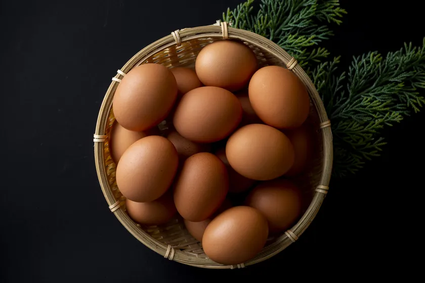 大寒卵とは ※イメージ