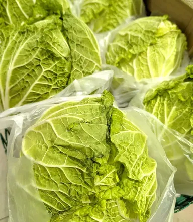 農産イベント！