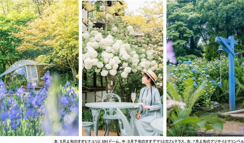 ROKKO森の音ミュージアム
フェア「ハーモニー・オブ・ガーデン」
六甲山のナチュラルガーデンのフラワーシーズン到来
2026年3月14日（土）～8月21日（金）