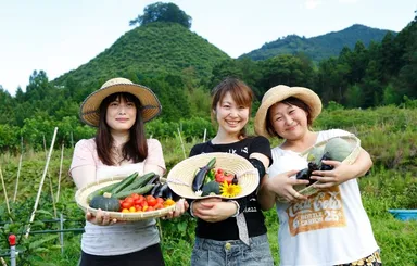 農業体験収穫の様子