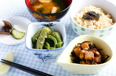 リフレッシュコース マイクロビオテック食