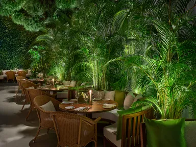 FYSH at EDITIONサンルームエリア