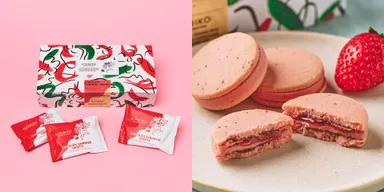 ICHIBIKO　チョコサンドクッキー(いちごマスカルポーネ)