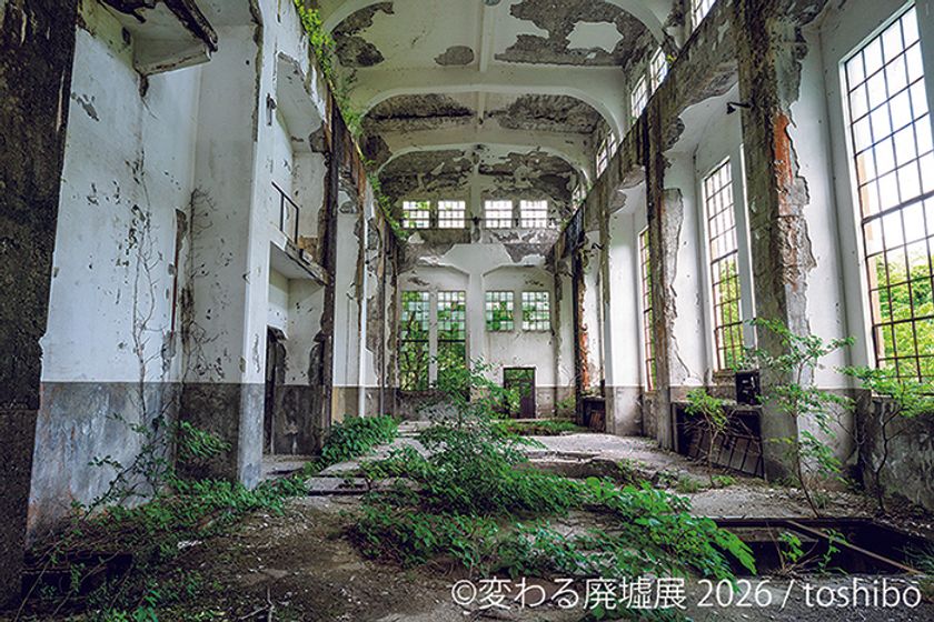 息をのむ美しさ！“廃墟”をアート作品として昇華　
11周年を迎える「変わる廃墟展 2026」2/27(金)～東京で開催