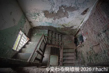 展示作品：hachi